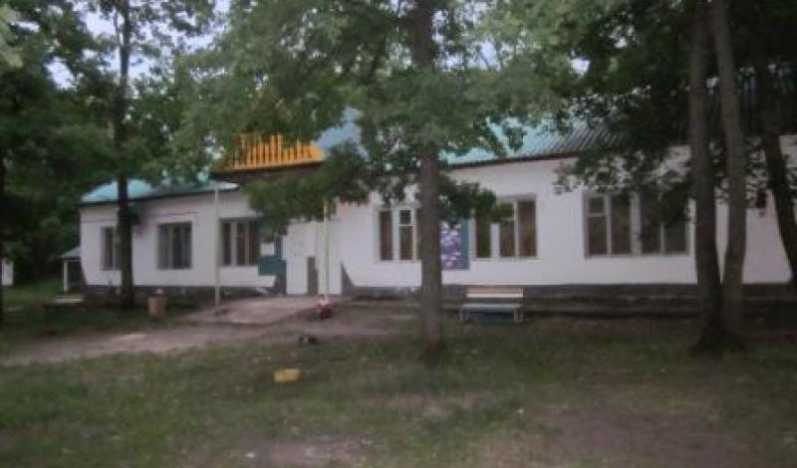 Дружные ребята