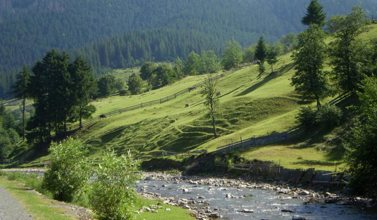 Friends Izki Land фото 1