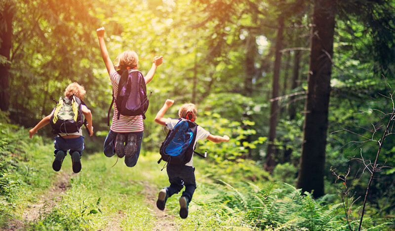 Гардовские путешественники