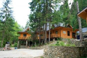 Harvard Summer Camp в Карпатах фото 1