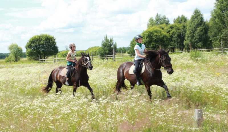 Hobbycamp Мещёрская сказка