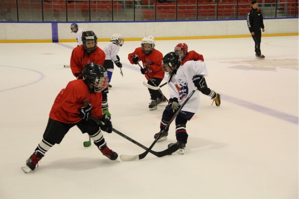 Хоккеист фото 1