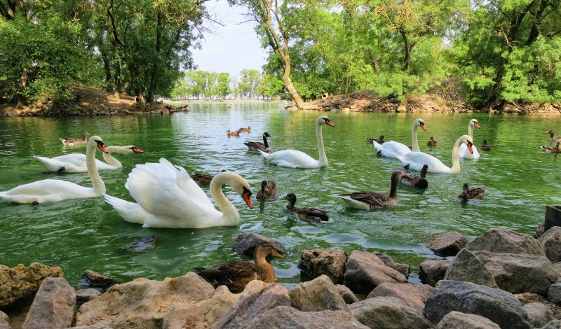 International House фото 1