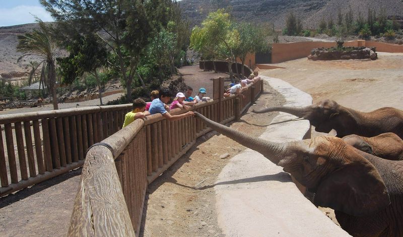 International Surf Camp фото 1