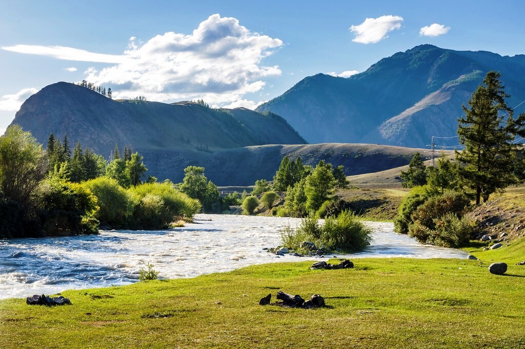 JUNIOR CAMP фото 1