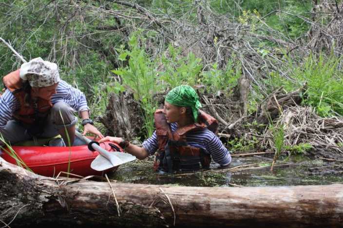 Коллекция приключений Оазис в пустыне