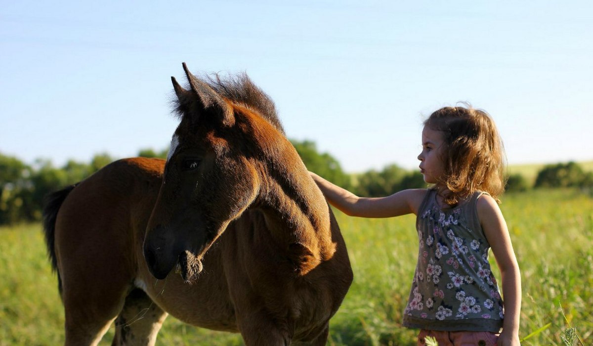 Конно-языковой лагерь AMAKS фото 1