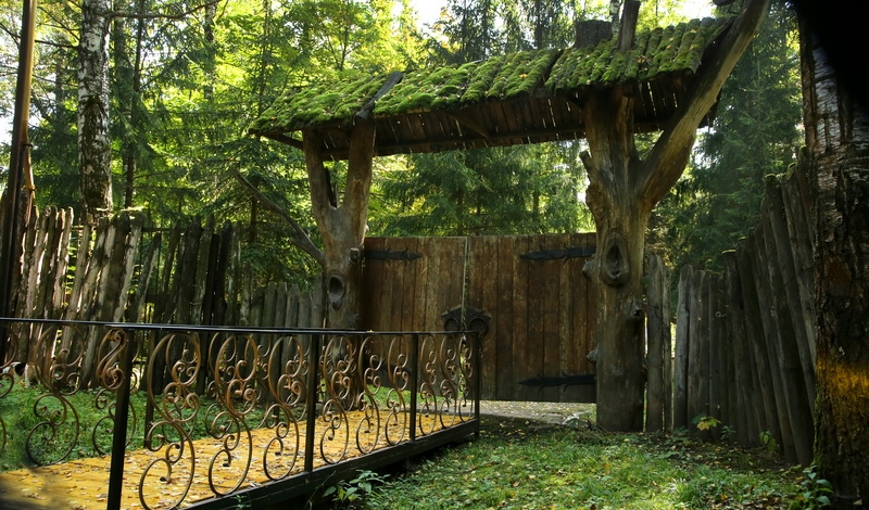 Лесная сказка фото 1