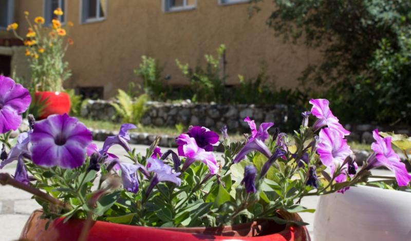 Лесная жемчужина фото 1