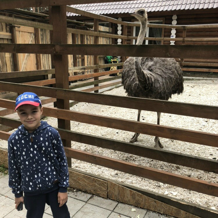 Unique Language Camp фото 1