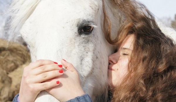 Лето в седле фото 1