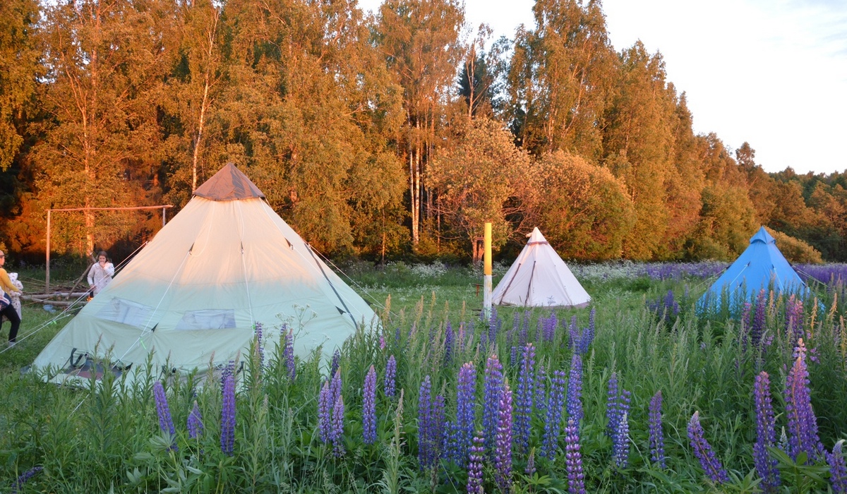 Мирград Дикари фото 1