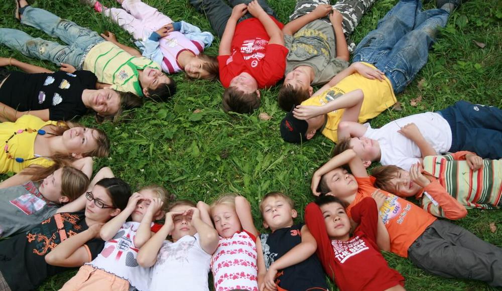 ПЕРЕСОПНИЦА фото 1