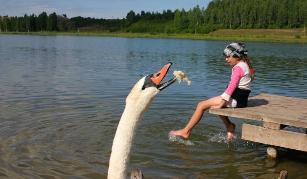 Русская земля фото 1