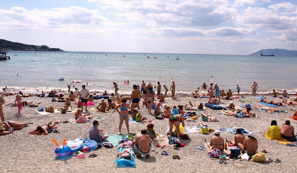 Ласточка фото 1