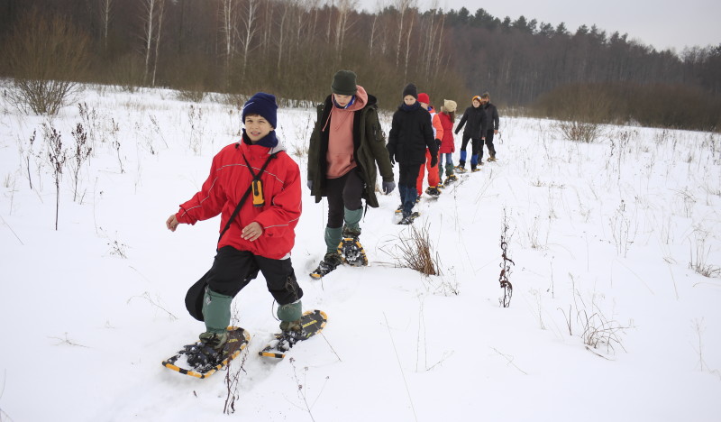 Снегоступы