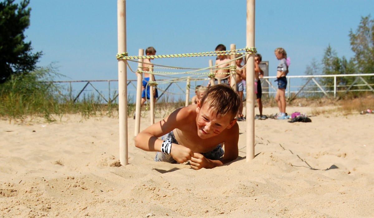 Сокол фото 1