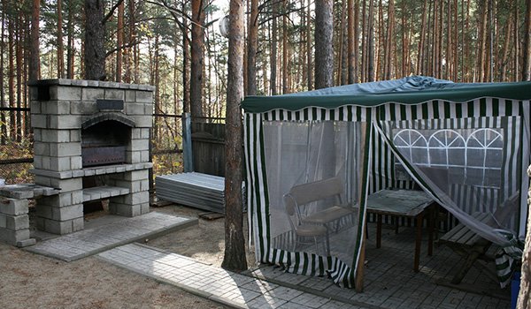 Сосновый бор фото 1