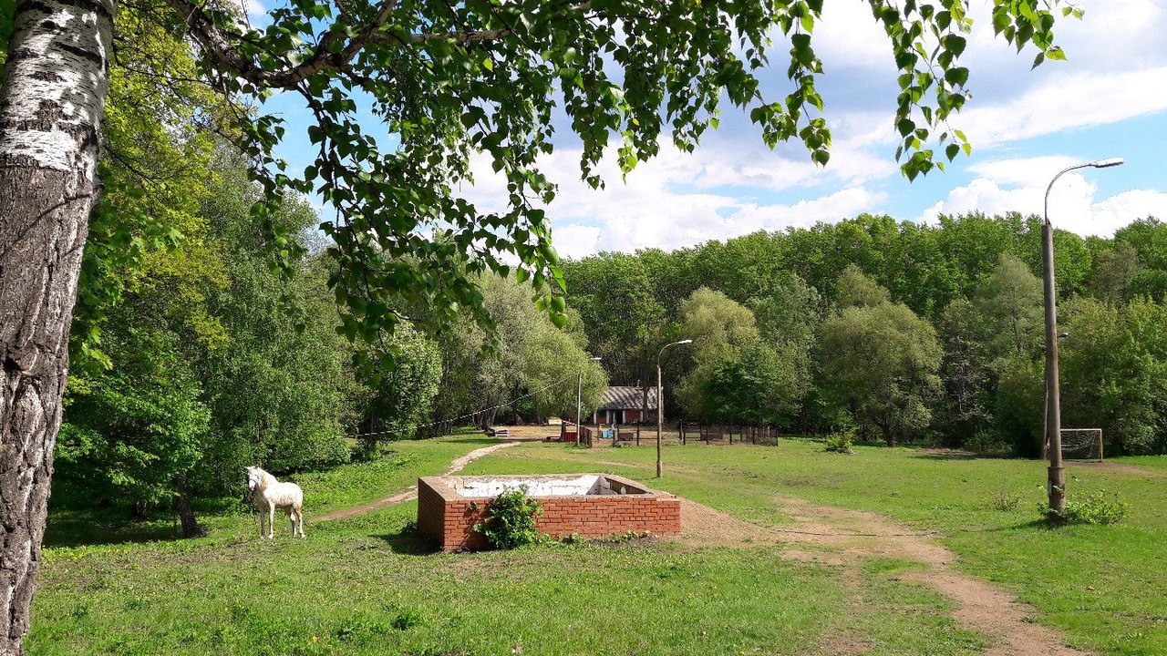 Спортивно-игровой Лагерь УДЭ фото 1