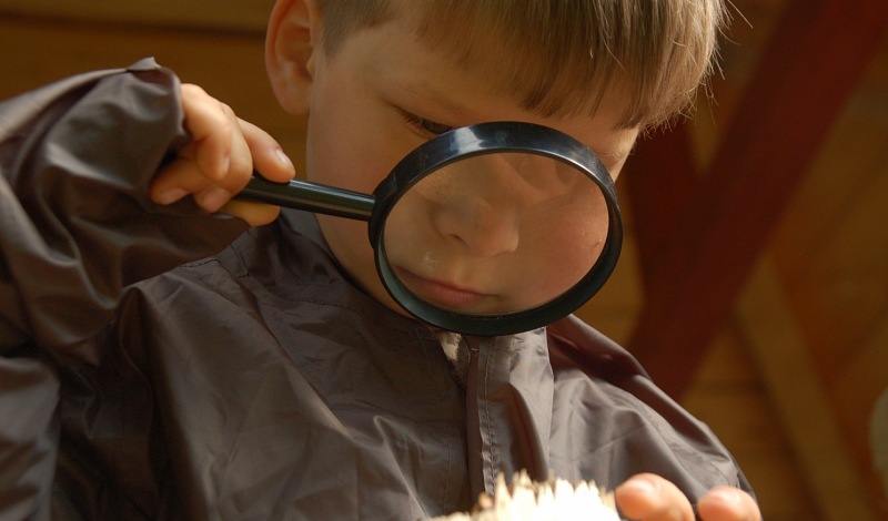 Там на неведомых дорожках фото 1