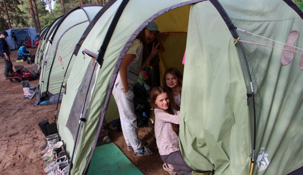 Вереск фото 1