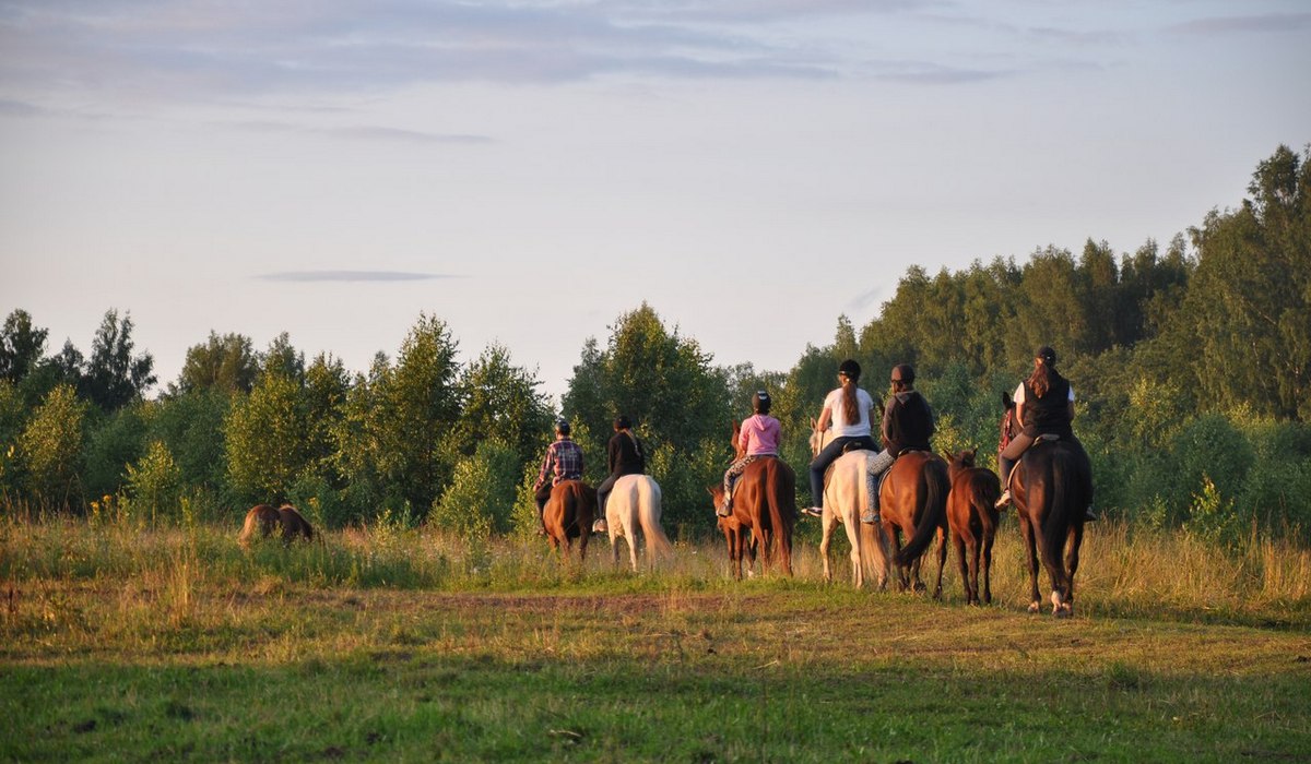 Волга фото 1