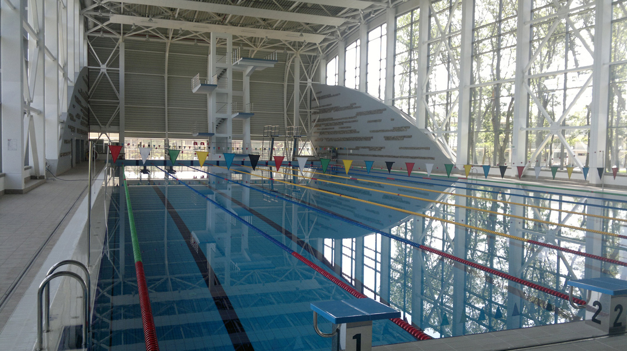 Your Camp фото 1