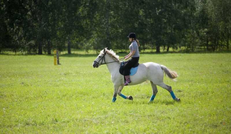 Заповедное