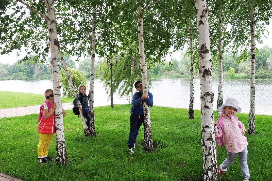 Золоче кемп фото 1