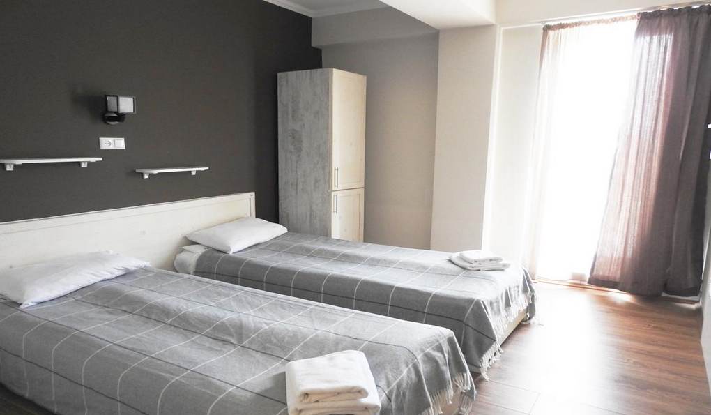 Hotel Mgzavrebi Bakuriani фото 1