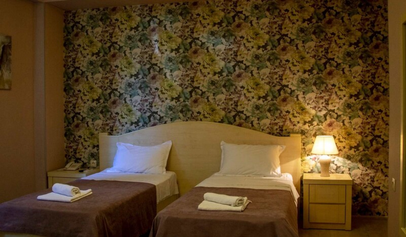 Hotel New Metekhi