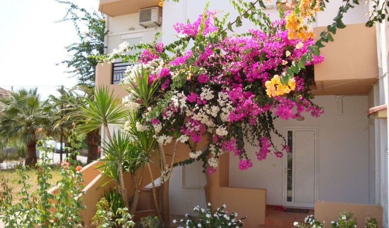 Yannis Apartments Amoudara