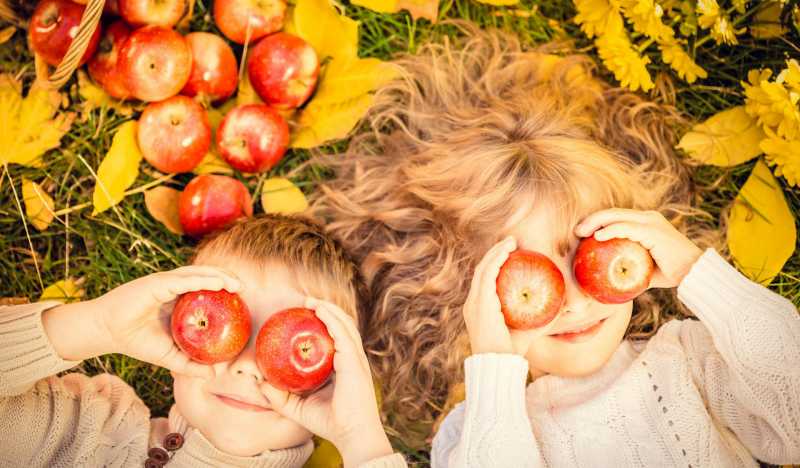 Чем заняться осенью с детьми: 20 приятных семейных дел