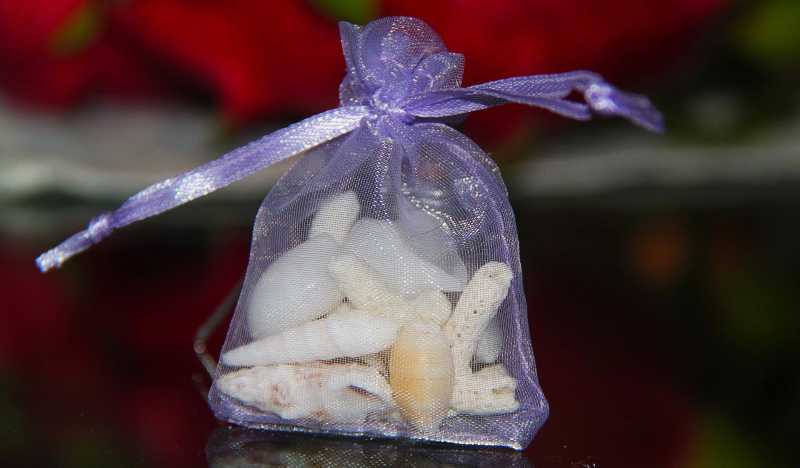 Что привезти из Одессы в подарок: 17 «чисто одесских» идей