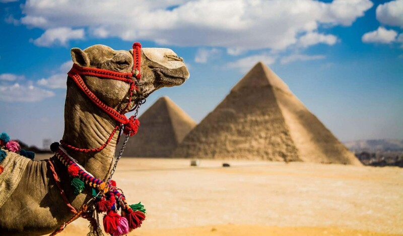 Египет в августе: никуда не деться от жары