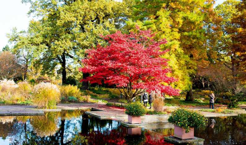 Гамбург в ноябре: осенняя симфония