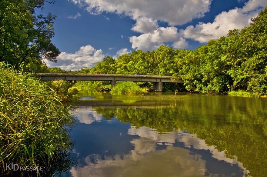 5 лучших приморских парков болгарии, где хорошо и в жару фото 3