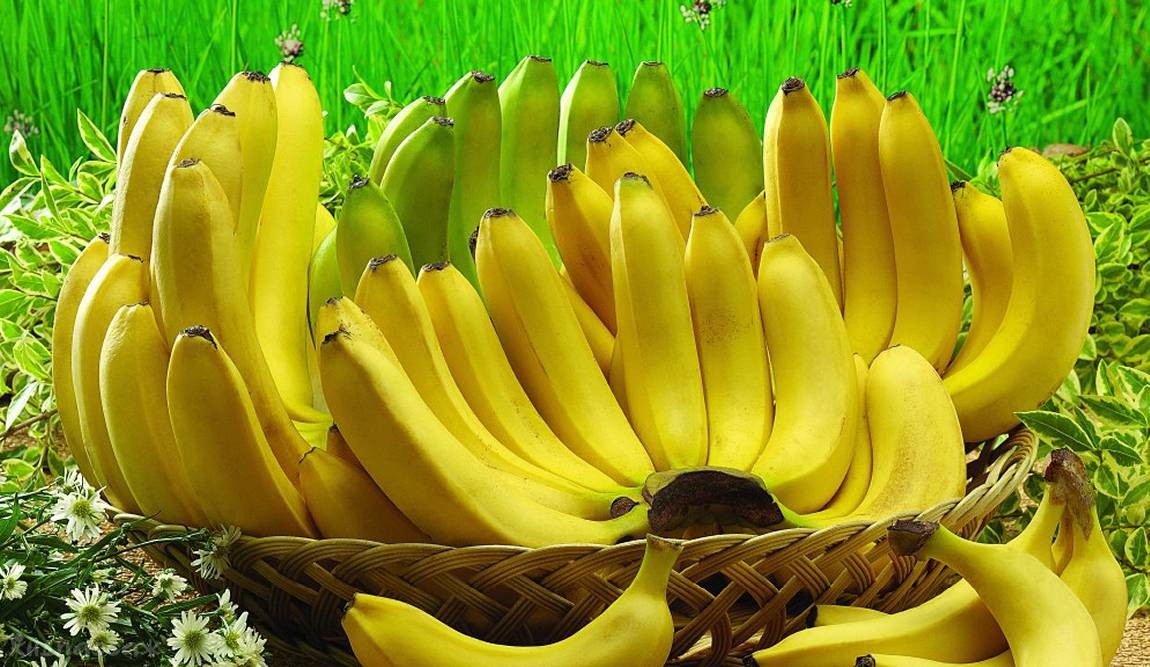 фрукты таиланда фото 4