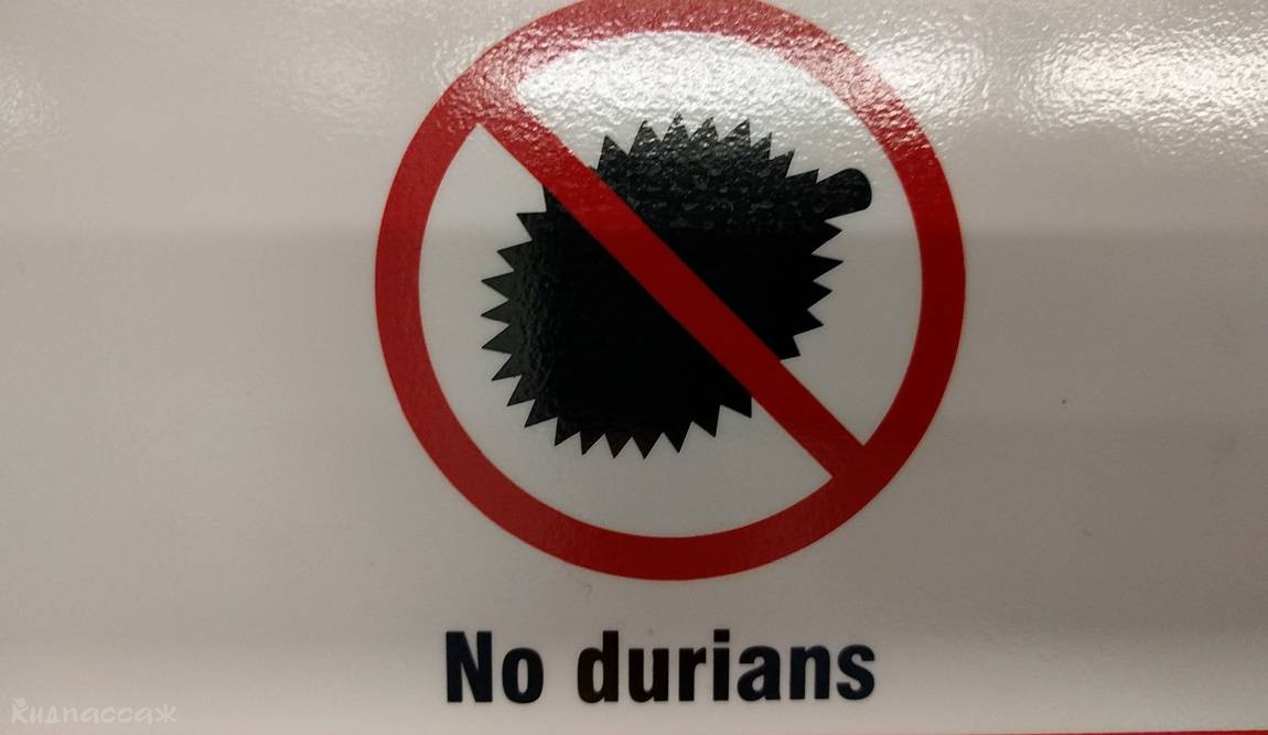 фрукты таиланда фото 25