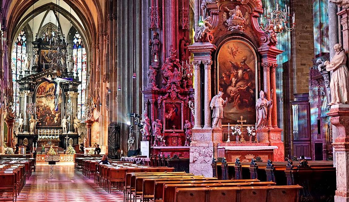 13 интересных фактов о вене