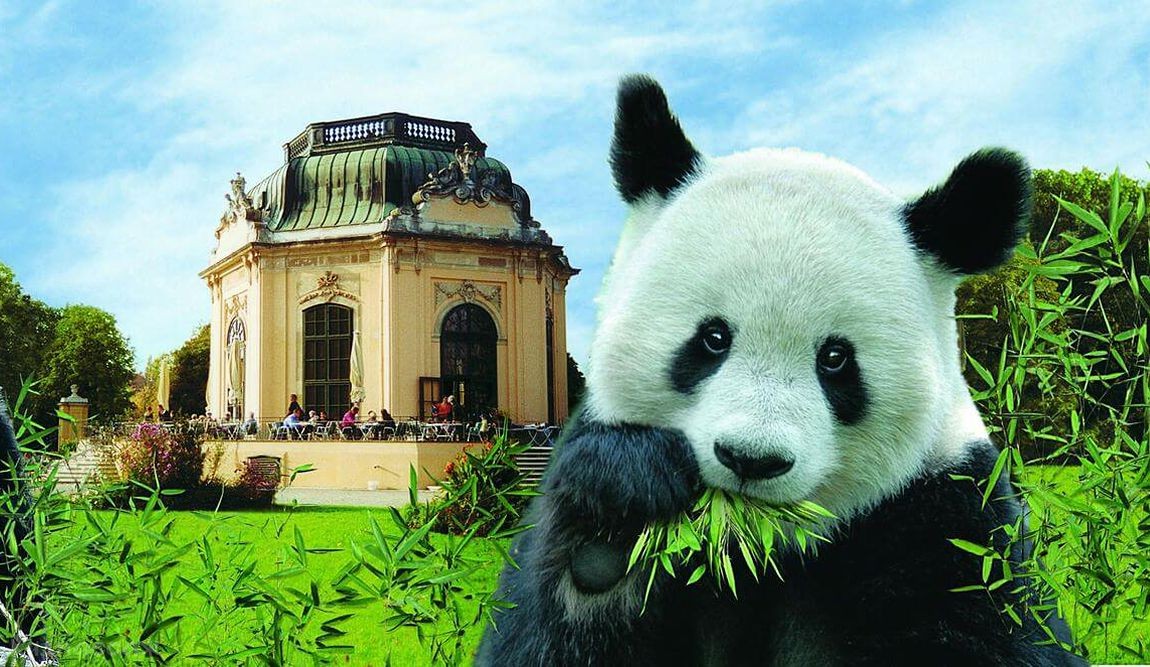 13 интересных фактов о вене фото 5