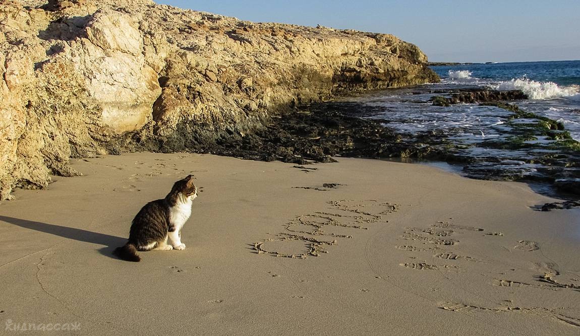 9 интересных фактов о кипре