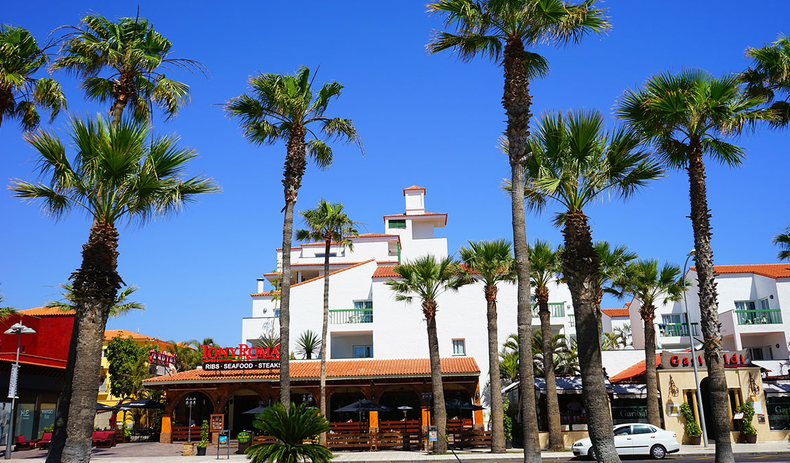 Тринадцать интересных фактов о Тенерифе фото 1