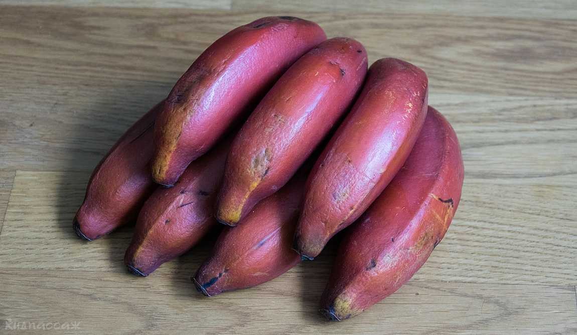 Фиолетовые бананы фото