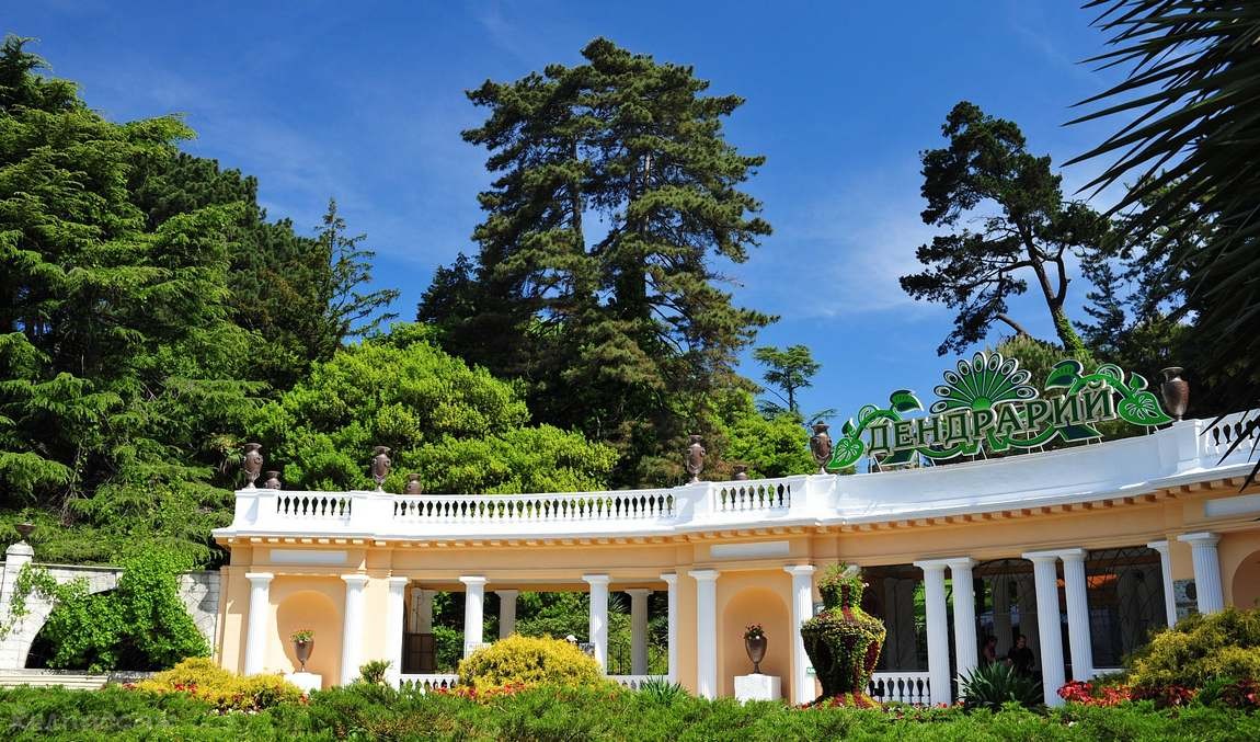 10 интересных фактов о сочи фото 5