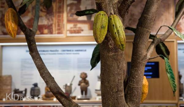 экскурсии для сладкоежек фото 13