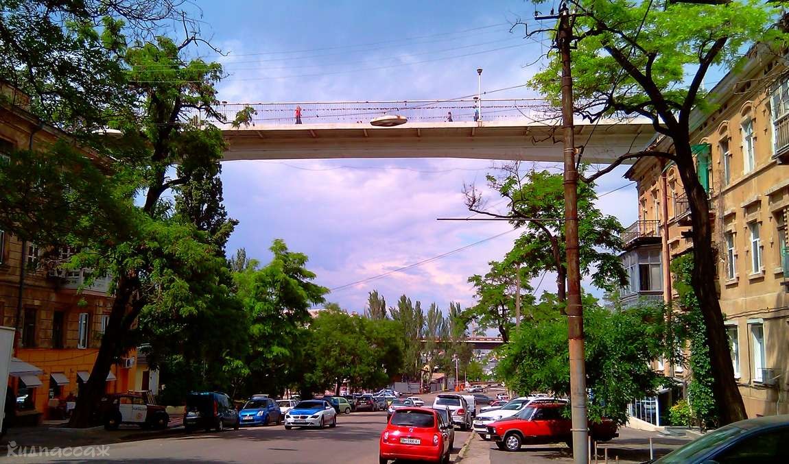 9 интересных фактов об одессе фото 5