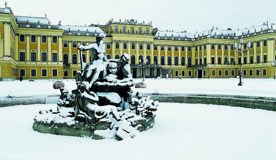 вена в феврале ― дивная пора сказочных балов фото 2