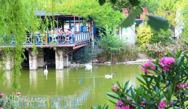 топ-5 развлечений для детей в кушадасы фото 5