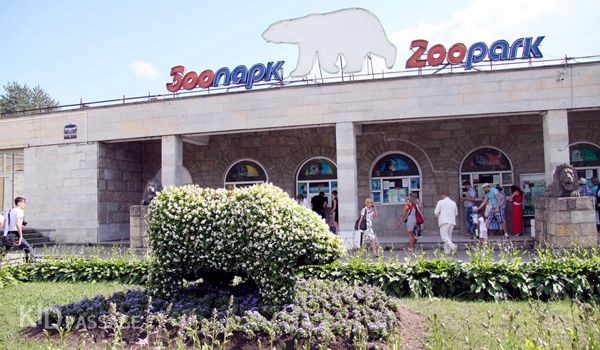 зверята и ребята: лучшие зоопарки россии фото 2